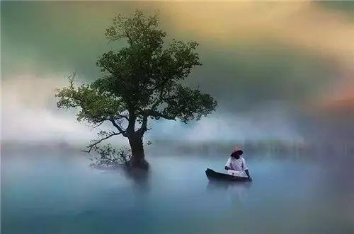 《中国诗词大会》挑战古诗词50题