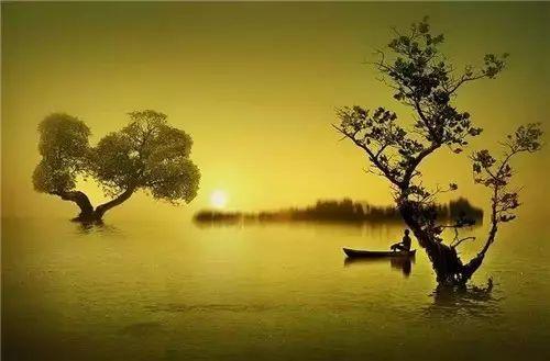 《中国诗词大会》挑战古诗词50题