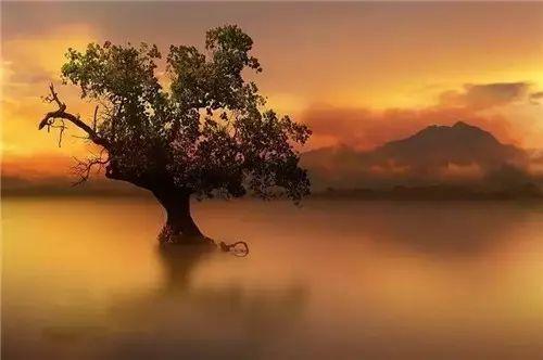 《中国诗词大会》挑战古诗词50题