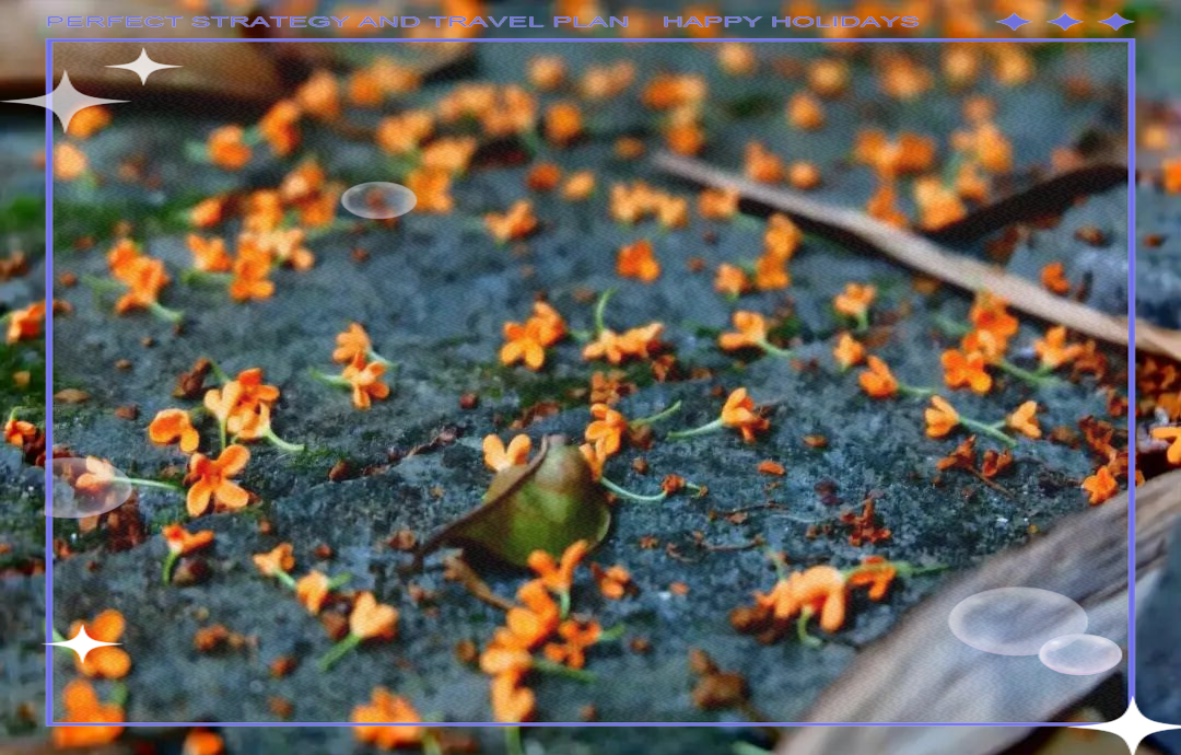 读《鸟鸣涧》:感受自然里的美好时光