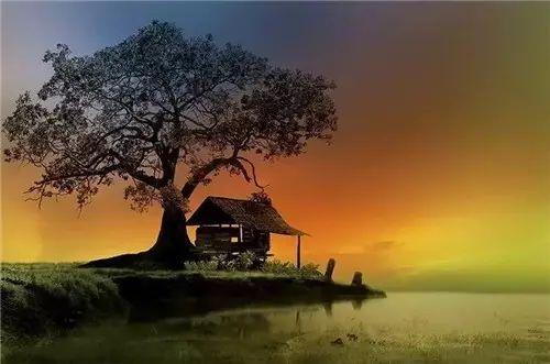 《中国诗词大会》挑战古诗词50题