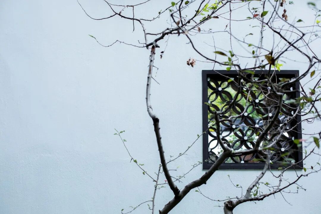 美到可以做签名的诗句,句句经典句句爱!