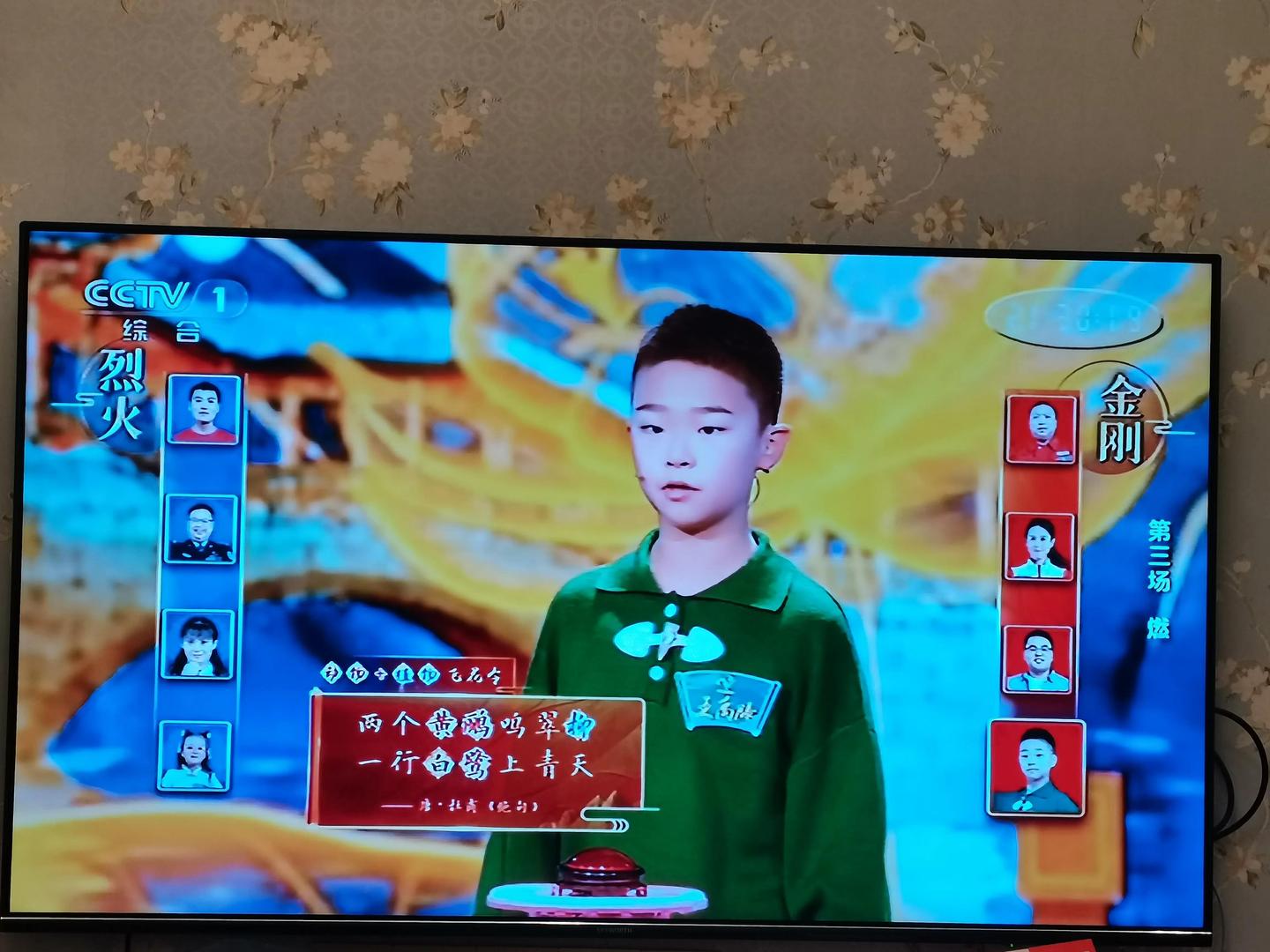 中国诗词大会三大看点成就辉煌