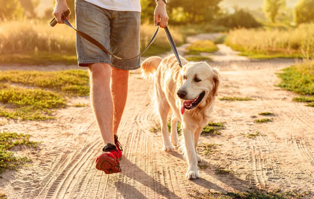 适合发朋友圈的绝美诗词，每一句都好应景